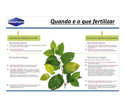 Seachem Flourish Iron (fe+2) 250ml