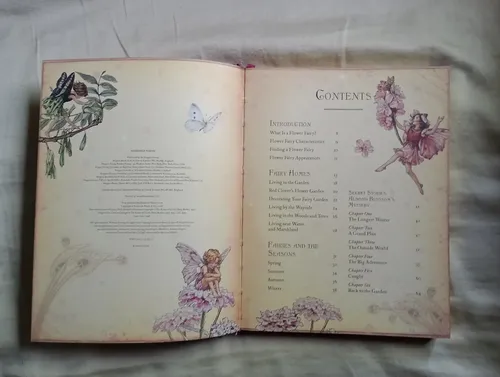 Livro The Girls Book Of Flower Fairies Cicely Mary Barker Capa