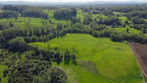 Campo En La Unión Cercano Al Lago Ranco 27,4 Hectáreas