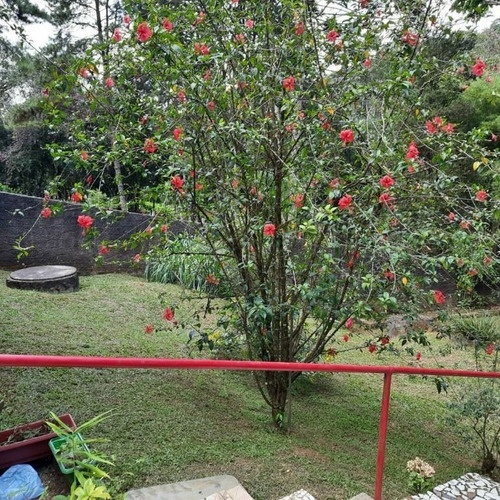 Imagem 13 de 30 de Chácara À Venda, 1100 M² Por R$ 380.000,00 - Riacho Grande - São Bernardo Do Campo/sp - Ch0047