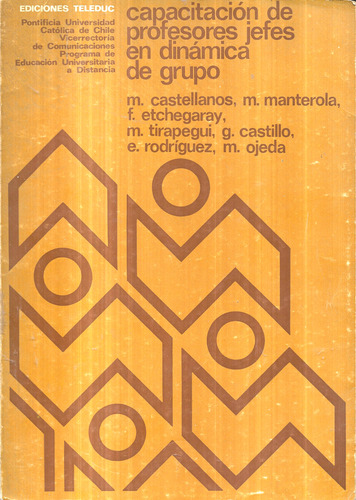 Capacitación Profesores Jefes Dinámica Grupo / Castellanos M (Usado)
