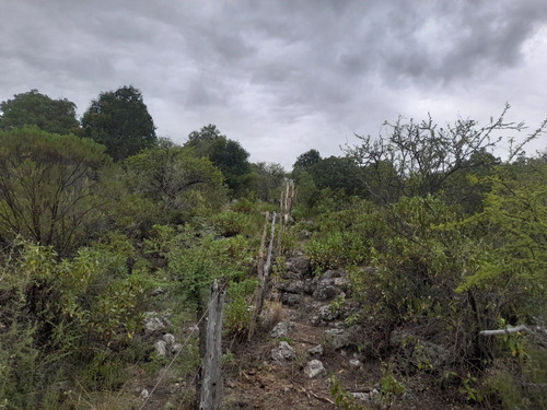 Imagen 7 de 11 de Lotes , Traslasierra-córdoba, Los Hornillos