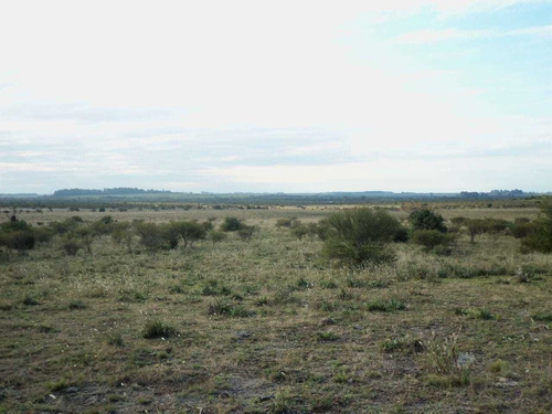 Muy Buen Campo Con Costa Al Río Negro
