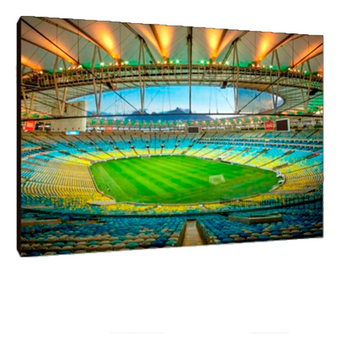 Cuadros Poster Deportes Futbol Estadios M 20x29 (ute (2))