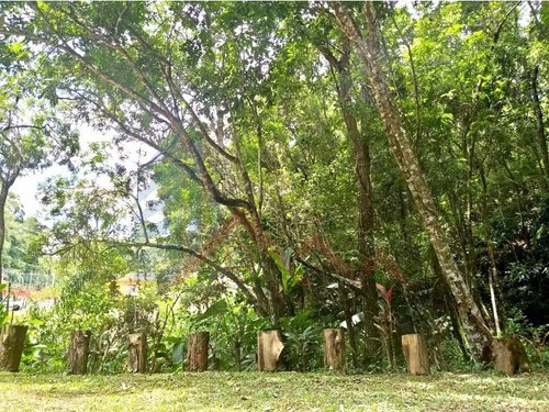 Imagem 11 de 21 de Chácara Mairiporã - Sp - 2404
