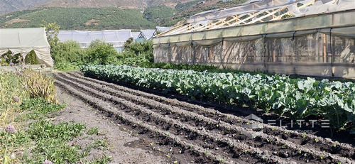 Tu Refugio Soñado En Quillota Te Espera, Parcela En Venta.-