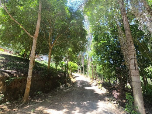 Sítio À Venda Na Rua Antiga Estrada Minercal, Bairro Dos Elias, Guapiara - Sp - Liv-8170