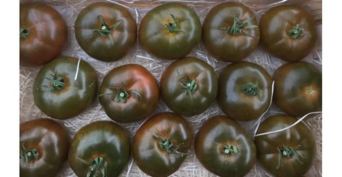 20 Semillas De Tomate Negro Kumato, Híbrido,no Transgenico,