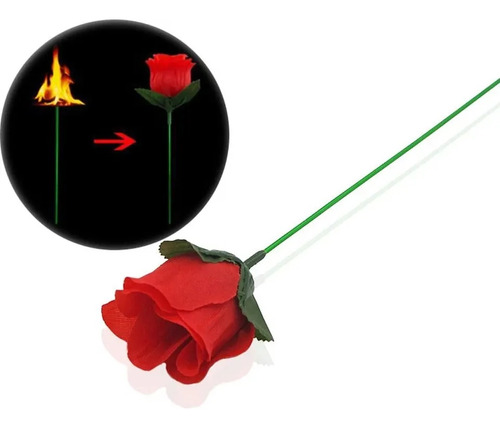 Flor Antorcha Truco De Magia
