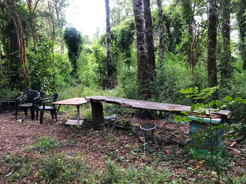 Venta De Parcela Con Casa En Sector El Rebellín