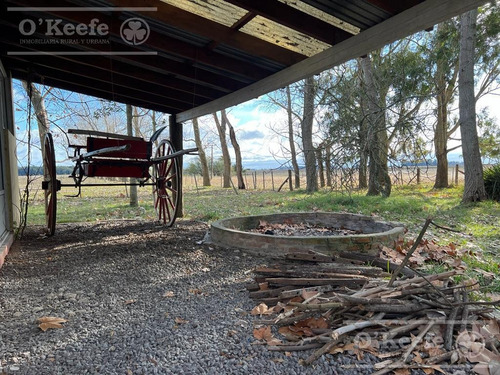 Imagen 11 de 26 de 100 Has En Punta Indio - Excelente Acceso - Ideal Haras!