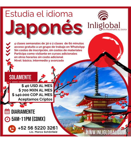 Curso De Inglés/alemán/francés Online En Tiempo Real