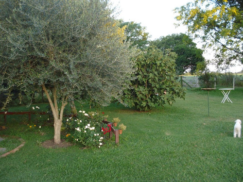 Imagen 3 de 23 de 1 Hectarea - Duggan - Con Casita - Pileta Y Arboleda