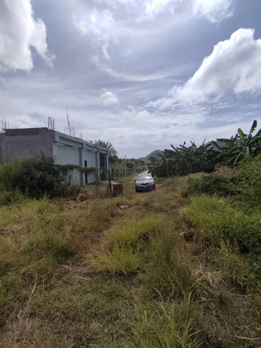 Terreno En Escudo De Armas- La Asuncion