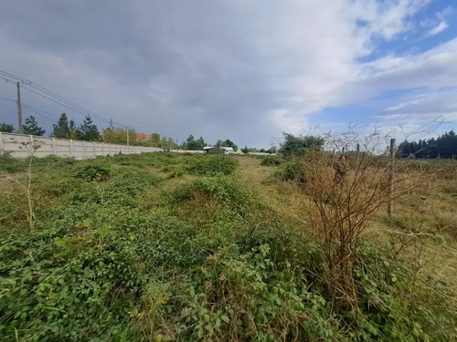 Arriendo Parcela 5000 M Casa ,4 D, A 10 Min. Casino, Chillán