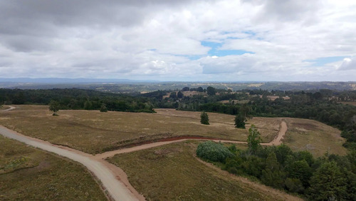 Terreno Frutillar Rol Propio Luz Agua Caminos (154492)