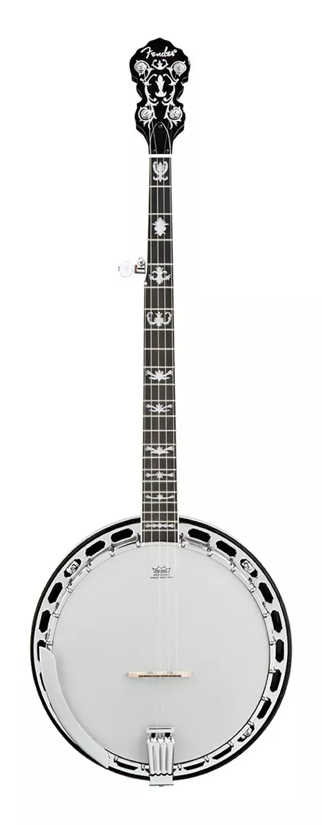 Tercera imagen para búsqueda de banjo
