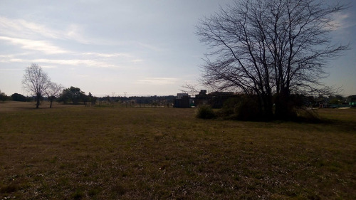 Imagen 8 de 18 de Lote En Venta En Pilar (country Con Golf)