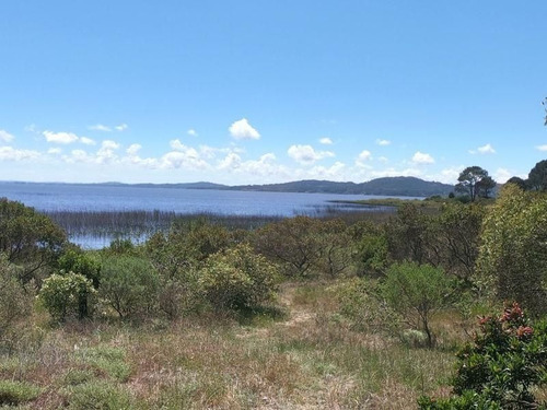 Imagen 5 de 17 de Terreno De 4.374 Mts2 Con Costa A Laguna Del Sauce
