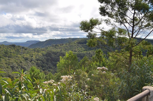 Imagem 4 de 11 de Terreno À Venda, 800 M² Por R$ 370.000,00 - Centro - Gramado/rs - Te0735