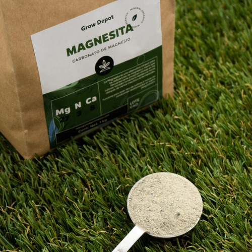 Magnesita (carbonato De Magnesia) 1 Kg