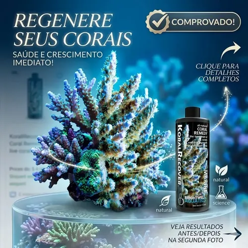 Brightwell Koral Recover 500ml | Parcelamento sem juros
