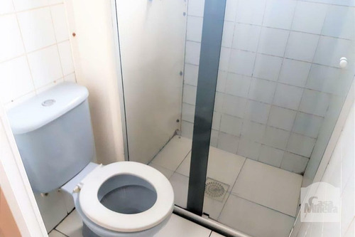 Imagem 9 de 13 de Apartamento À Venda No Linda Vista - Código 474534 - 474534