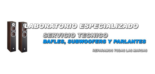 Imagen 5 de 10 de Servicio Técnico Reparación Service Bafles Parlantes Woofer