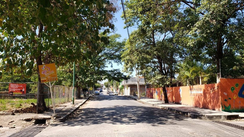 Imagen 2 de 4 de Terreno En Venta En La Col. Las Palmas