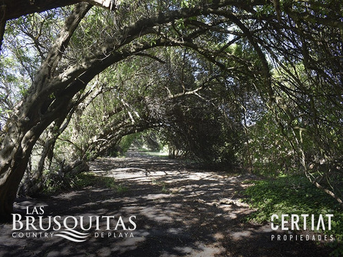 Imagen 6 de 11 de Venta De Lote Las Brusquitas Country De Playa