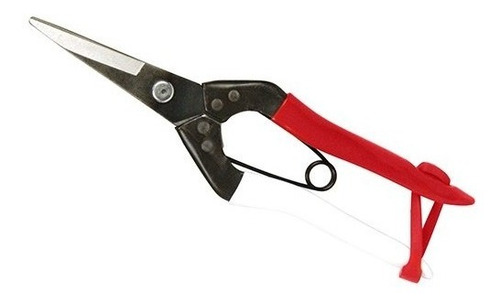 Tijeras De Acero Inoxidable De Uva B-500s