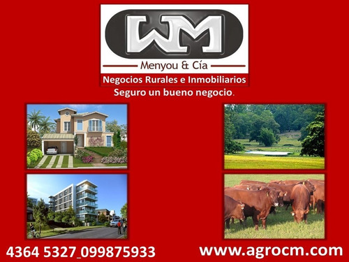 Venta Terreno En Trinidad Flores 300 M2
