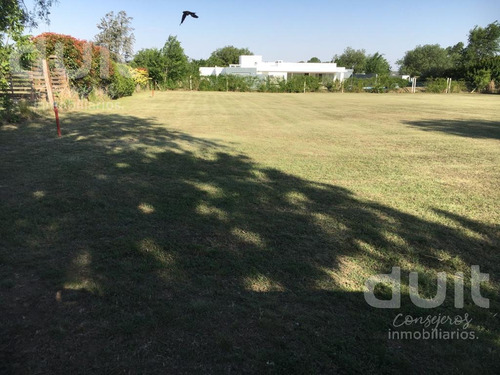 Imagen 4 de 8 de Terreno - Causana