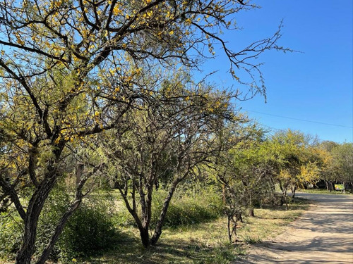 Imagen 9 de 14 de Venta De Lote En Merlo A Metros De Avenida Del Sol