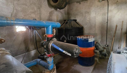 Venta De Finca Productiva En La Heras 31 Hs De Viñedos Y Riego Por Goteo