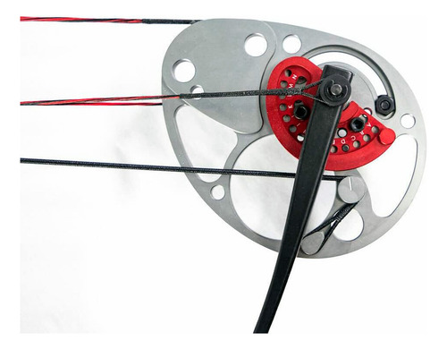 Arco Composto Exterminator 15 - 70 Lb 310 Fps - Ek Archery