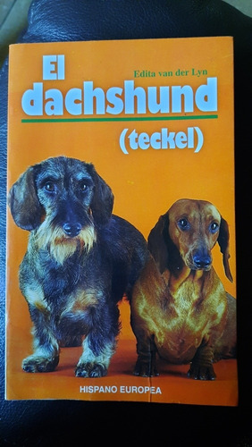 El Dachshund Teckel Raza Salchicha Van Der Lyn Perro Cuidado