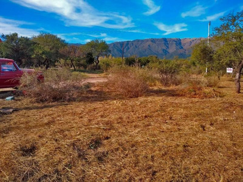 Imagen 2 de 11 de Terrenos O Lotes Venta Carpintería