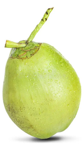 Coco Verde Unidade