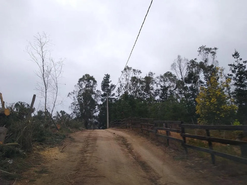 Venta De Parcela En Algarrobo 5300 M2 Casa De 120 M2