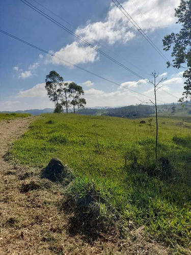 Imagem 3 de 14 de A26- Não Deixe Pra Amanhã Pra Realizar Seu Sonho.