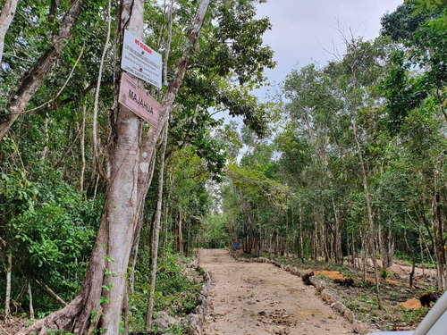 Terreno En Boulevard La Ceiba, Lázaro Cárdenas