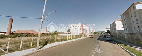 Imagem 4 de 11 de Terreno - Sarandi - Ref: 208903 - V-208903