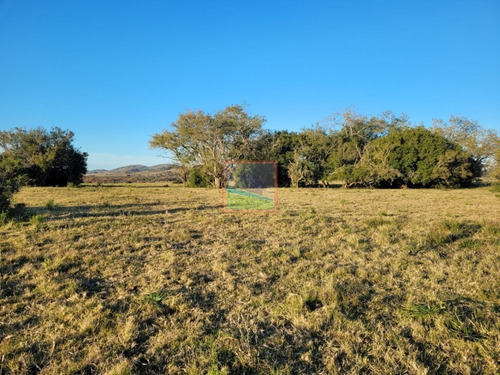 Imagen 8 de 11 de Campo 67 Hás Zona Pueblo Edén