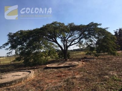 Imagem 8 de 25 de Terreno - Ref: 31873