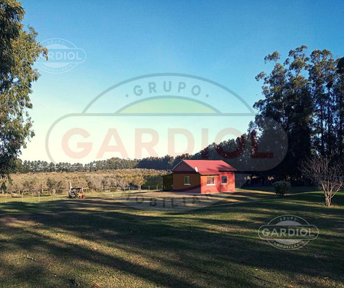 Venta De Chacra En Colonia