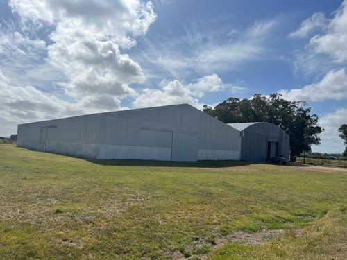 Depósito 2.500 M2 Logístico / Industrial. Ruta 101, Frente Al Parque De Ciencias