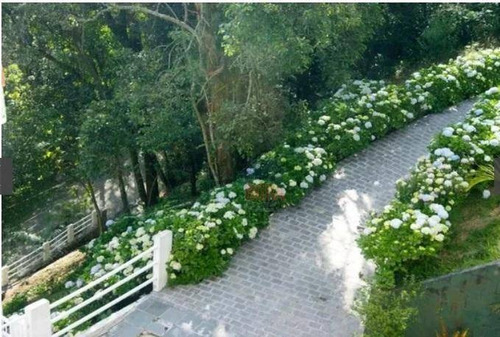 Casa Residencial À Venda, Condomínio Parque Imperial, Mairiporã. - Ca0127