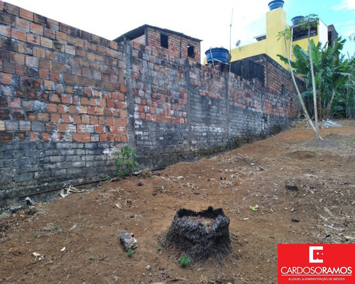 Imagem 11 de 19 de Casa - Ca01200 - 70750728