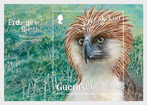 2016 Fauna En Peligro- Águila - Guernsey (bloque) Mint